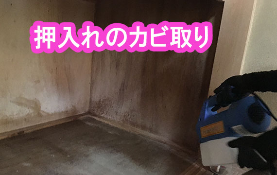 今日のカビ取り