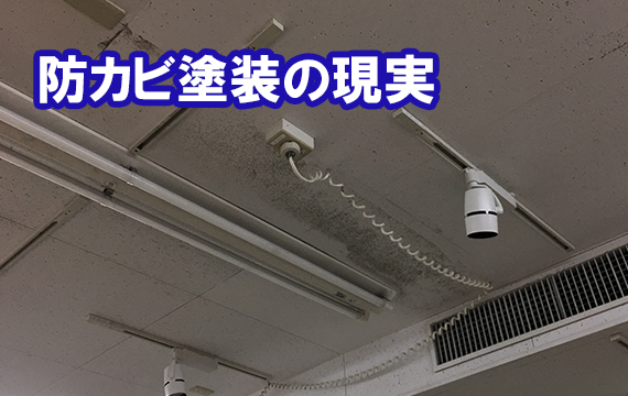 防カビ塗装の現実