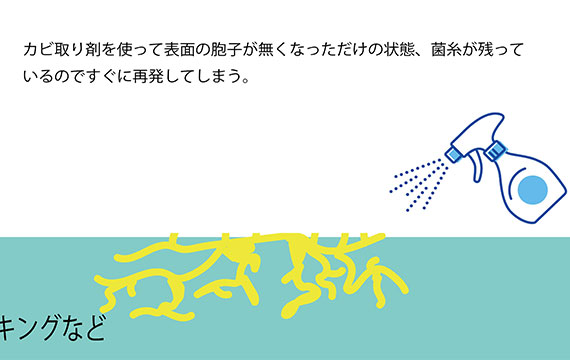 昨日カビ取りをしたのに！！